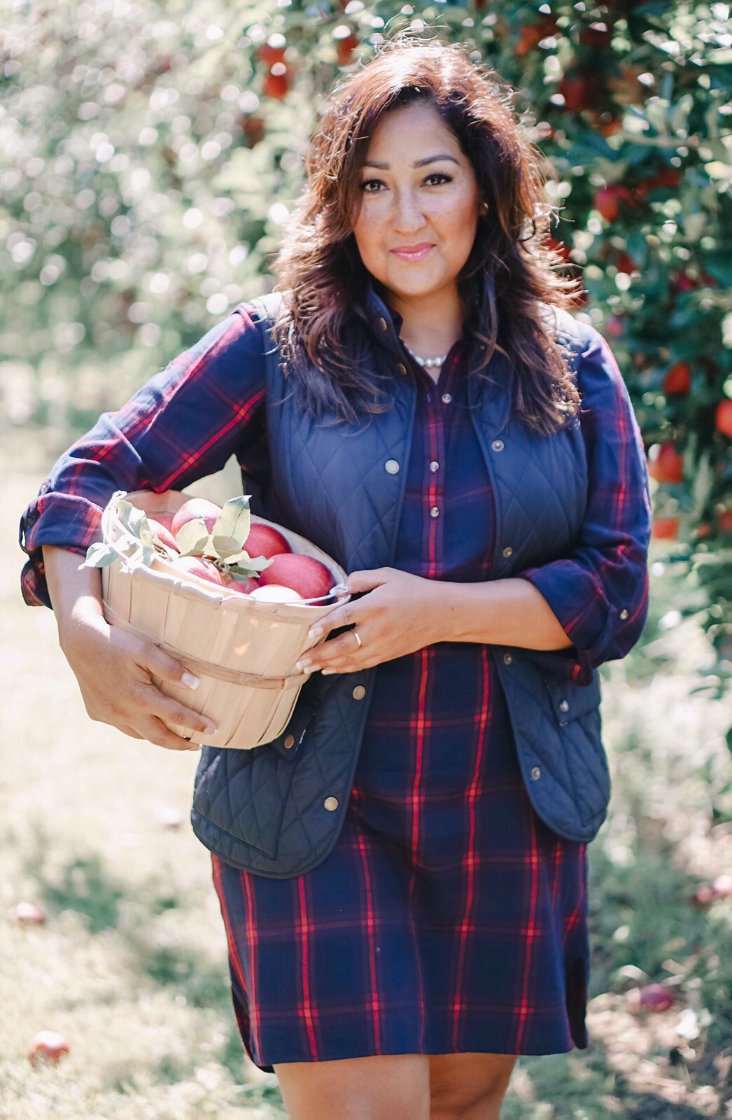 Apple harvest season in CT.