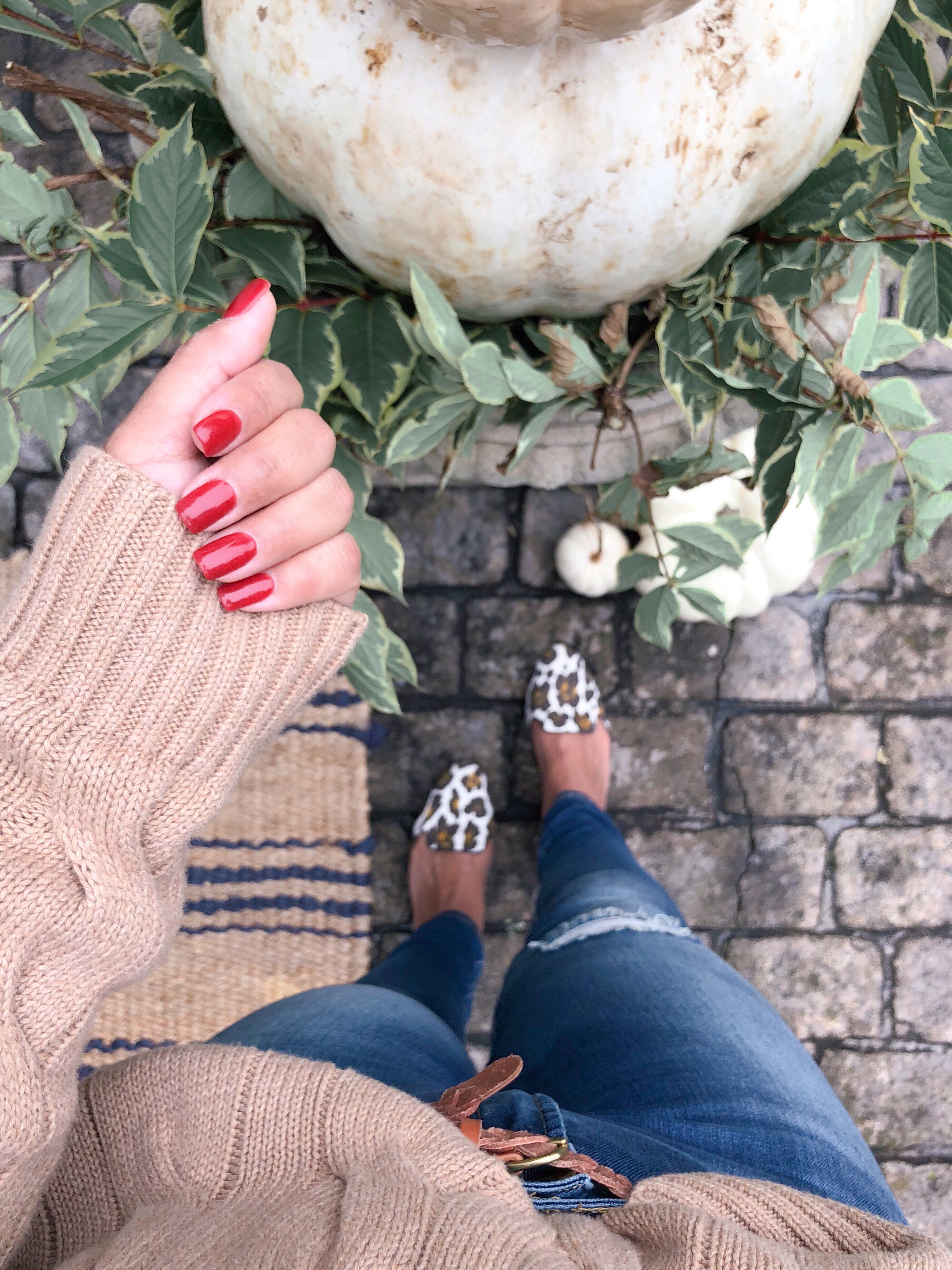 Fall vibes and leopard shoes.