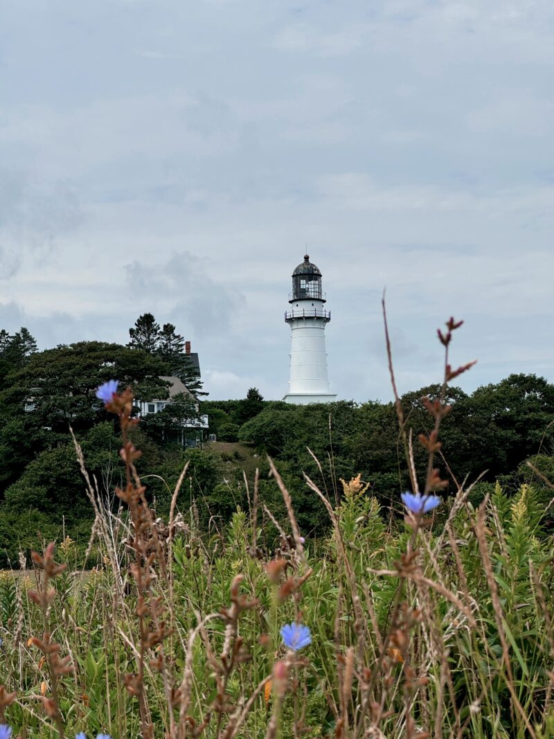 Our Trip To OOB, Maine Rosa Diana