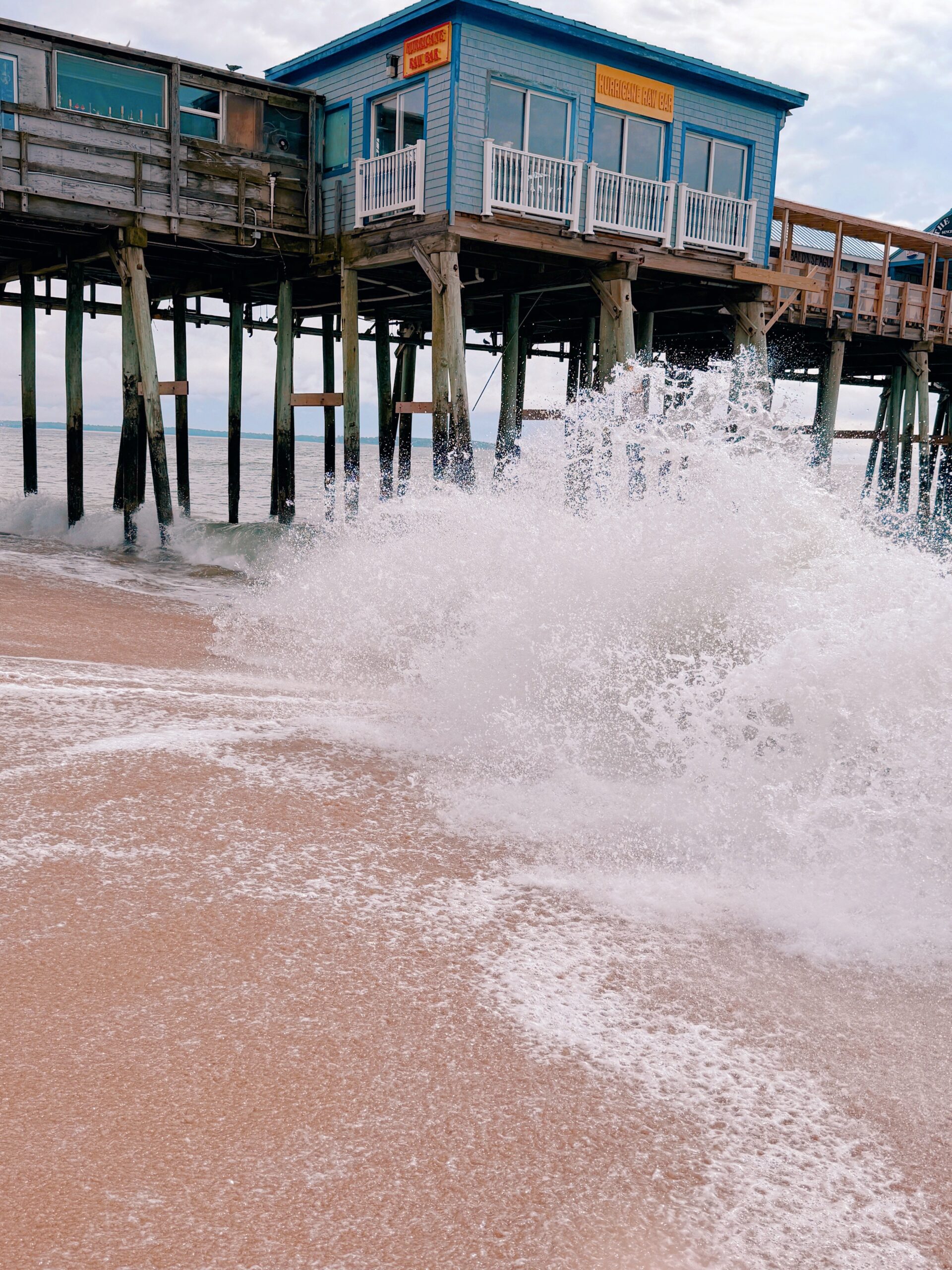 Our Trip To OOB Maine Rosa Diana